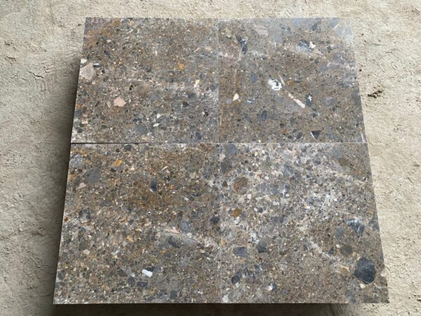 Paver Pic 14 - Da Ech Skin N29 Polished 7